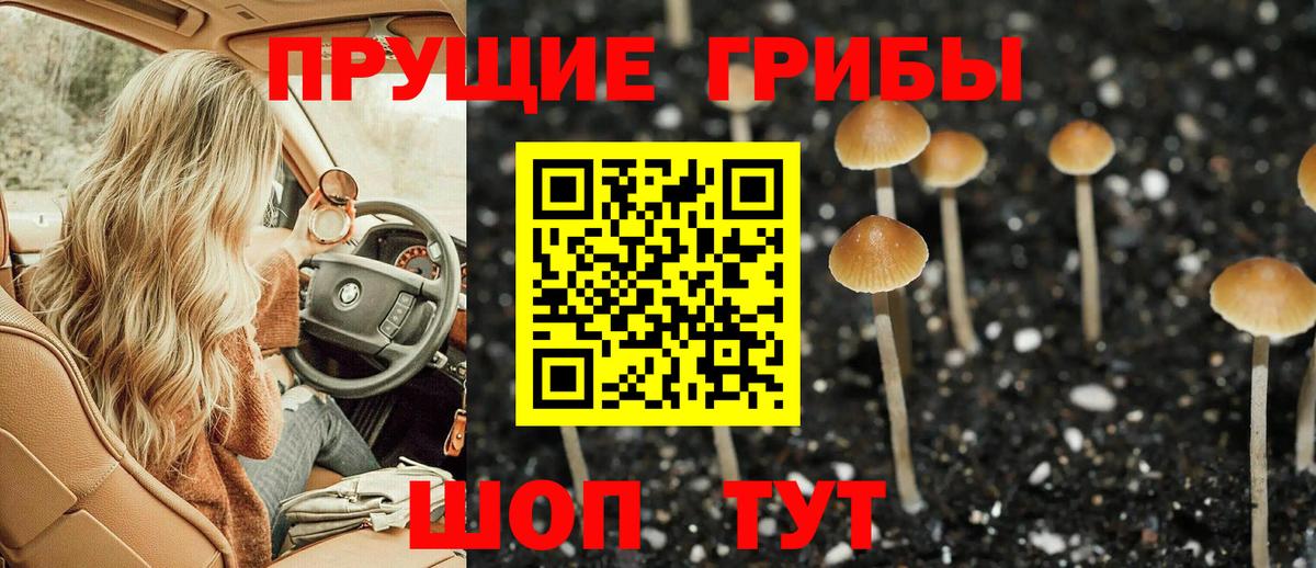 Шебекино  Псилоцибиновые грибы MAGIC MUSHROOMS  Вход с VPN 