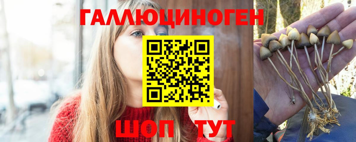 Псилоцибиновые грибы ЛСД Шебекино